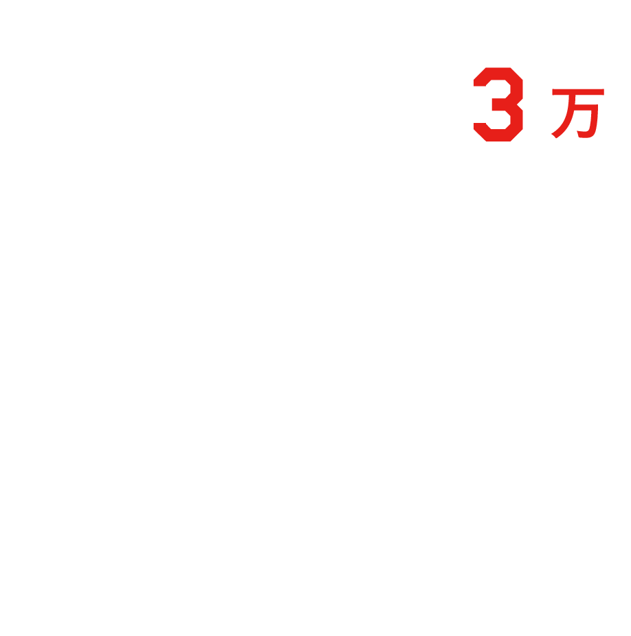 約3万品目